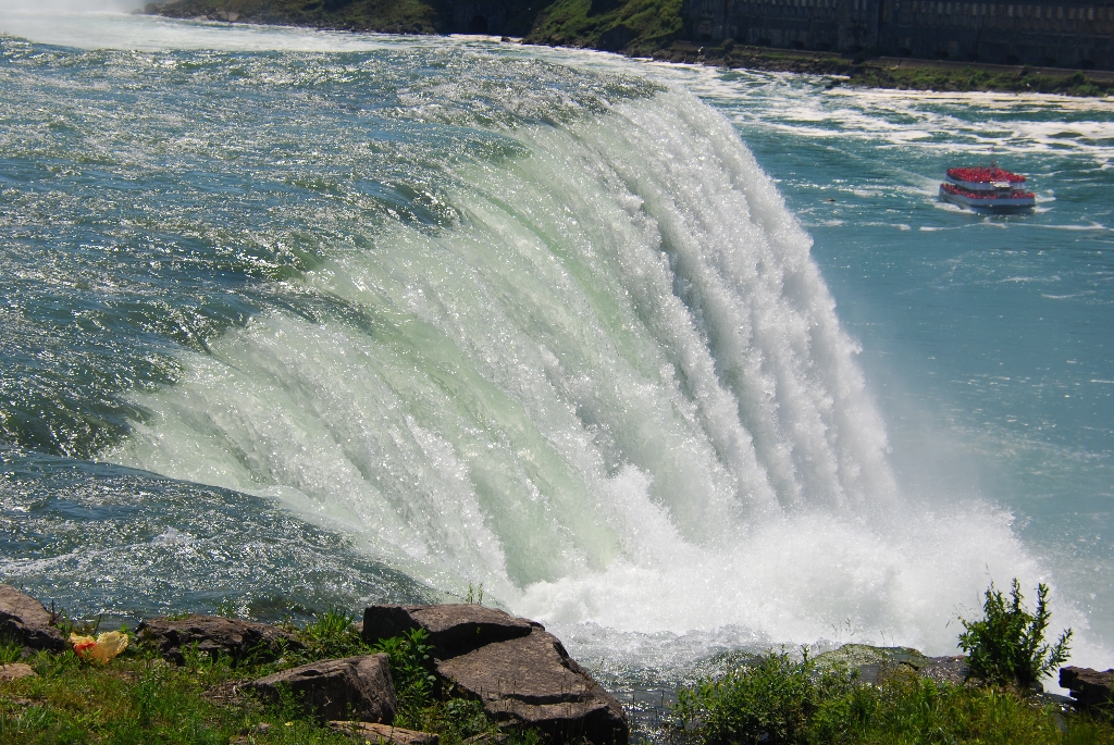 DSC_2490.JPG